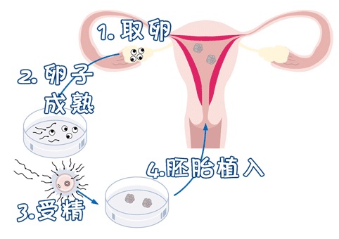 智能实验室